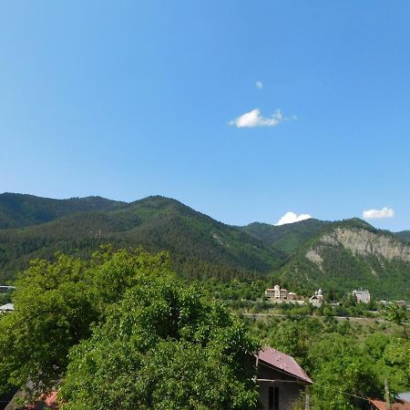 Akaki'S Guesthouse 보르조미 외부 사진