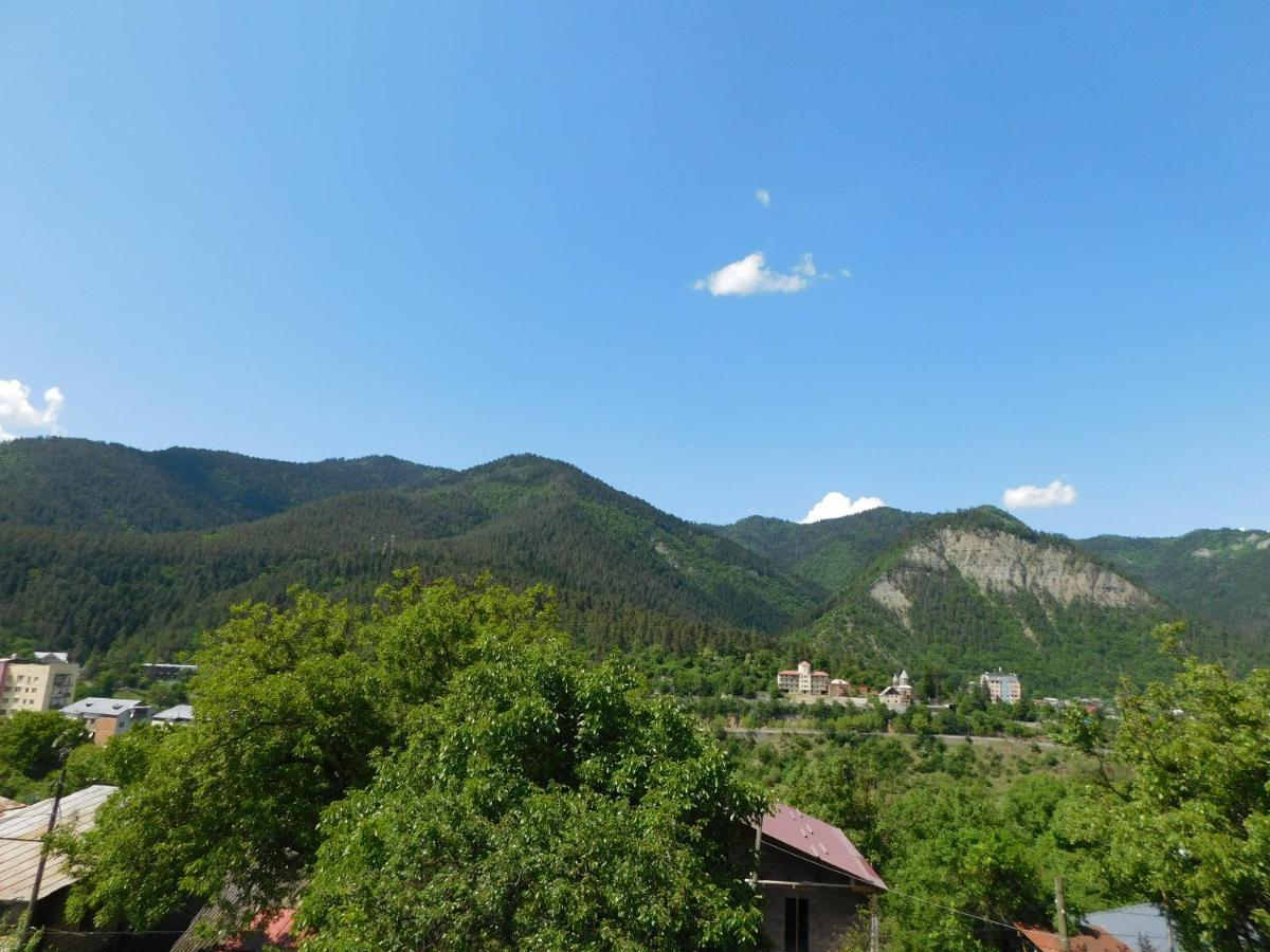 Akaki'S Guesthouse 보르조미 외부 사진
