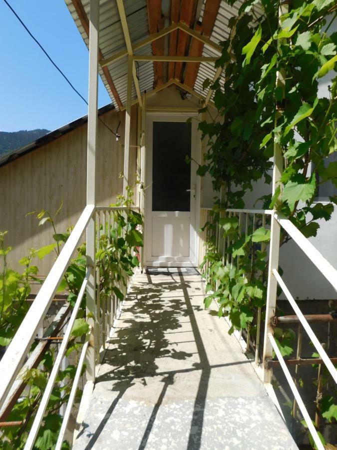 Akaki'S Guesthouse 보르조미 외부 사진